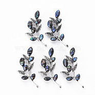 Leaf Shape Natural Abalone Shell/Paua Shell Brooch Pin, Alloy Lapel Pin for Girl Women, Lead Free & Cadmium Free, Antique Silver, Colorful, 57~58x26~27x9mm, Hole: 5x3mm, Pin: 0.7mm(G-N333-004A-RS)