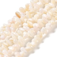 Natural Freshwater Beads Strands, Teardrop, 6~7.5x3~4x3~4mm, Hole: 0.8mm, about 116~119pcs/strand, 14.88''~14.96''(37.8~38cm)(SHEL-K006-36)