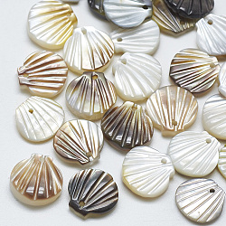 Black Lip Shell Charms, Shell, 9.5~10.5x10~11x2~3mm, Hole: 1mm(SSHEL-S260-097A)