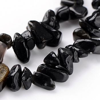 Natural Obsidian Bead Strands, Chips, 5~10mm, Hole: 0.8mm, 31.5 inch