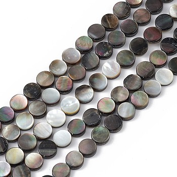 Natural Black Lip Shell Beads, Flat Round, Black, 8x3mm, Hole: 0.8mm, about 50pcs/strand, 15.55''(39.5cm)