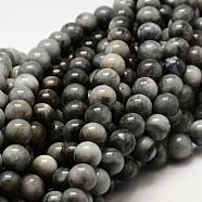 Natura Hawk's Eye Beads Strands, Eagle Eye Stone, Round, 6mm, Hole: 1mm, about 63pcs/Strand, 15.55 inch(39.5cm)(G-D0001-22C-6mm)