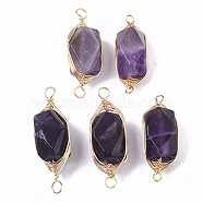 Natural Amethyst Links connectors, Brass Wire Wrapped Links, Faceted, Column, Golden, 22.5~32x9~12x8~9mm, Hole: 1.2mm(G-T131-04C)