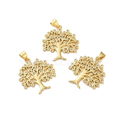 Rack Plating Brass Pave Cubic Zirconia Pendants, Lead Free & Cadmium Free, Real 18K Gold Plated, Long-Lasting Plated, Tree Charm, Clear, 24x22x2mm, Hole: 4x3.5mm(KK-O142-34G)