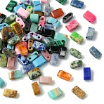 100Pcs 20 Colors Synthetic Agate Beads, 2-Hole, Rectangle, Mixed Color, 2x5x2mm, Hole: 0.9mm, 5pcs/color(G-CJ0001-77)