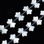 Natural White Shelll Beads Strands, Bowknot, 10x16~17x2mm, Hole: 0.5mm, about 20pcs/strand, 11.73 inch(29.8cm)(SSHEL-S278-123B)