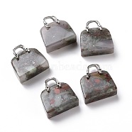 Natural African Bloodstone Brass Pendants, Platinum, Bag, 27.5x25x10mm, Hole: 6mm(KK-E274-01P-012)