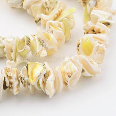 Hebras de perlas shell naturales(BSHE-P010-02)-3