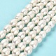 Natural Cultured Freshwater Pearl Beads Strands(PEAR-E016-081)-2