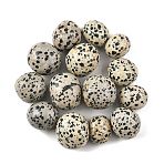 Natural Dalmatian Beads, Tumbled Stones, No Hole/Undrilled, Nuggets, 20~56x18~30.5x8~28mm(G-G348-01B-48)