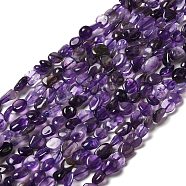 Natural Amethyst Beads Strands, Nuggets, 8~14x6~8x4~8mm, Hole: 1mm, about 46~48pcs/strand, 39~39.5cm(G-I351-B04)