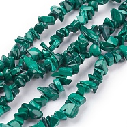 Natural Malachite Beads Strands, Chips, 5~14x4~10x2~6mm, about 32 inch long(X-G-F079-02)