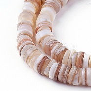 Shell Beads Strands, Disc, Antique White, 4.9~6x0.4~6mm, Hole: 1.4mm,  about 15.94 inch~16.14 inch(40.5~41cm)(SSHEL-E571-49D)