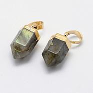 Natural Labradorite Pointed Charms, with Brass Findings, Long-Lasting Plated, Bullet, Golden, 15x6~6.5mm, Hole: 3.5x6mm(G-G720-12-G06)