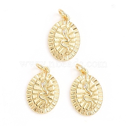 Brass Micro Pave Cubic Zirconia Pendants, with Jump Ring, Oval with Snake, Clear, Golden, 17x11.5x2mm, Hole: 3mm(ZIRC-E164-22G)