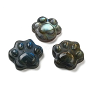 Natural Labradorite Cabochons, Paw Print, 23.5~26x26~30x8.5~10.5mm(G-C152-14)