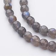 Natural Labradorite Bead Strands, Faceted(128 Facets), Round, 6mm, Hole: 0.5mm, about 62pcs/strand, 15.1 inch(385mm)(G-G947-05-6mm)