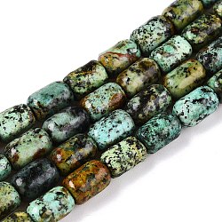 Natural African Turquoise(Jasper) Beads Strands, Column, 9~9.5x6mm, Hole: 0.9~1mm, about 42~43pcs/strand, 15.24~15.8''(38.7~39.5cm)(G-G980-33A)