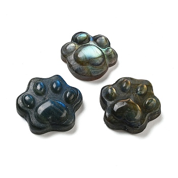 Natural Labradorite Cabochons, Paw Print, 23.5~26x26~30x8.5~10.5mm