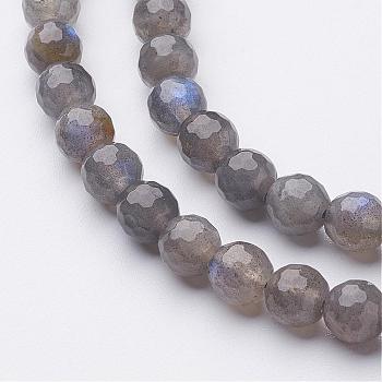 Natural Labradorite Bead Strands, Faceted(128 Facets), Round, 6mm, Hole: 0.5mm, about 62pcs/strand, 15.1 inch(385mm)