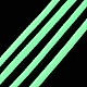 Luminous Polyester Braided Cords(OCOR-T015-01I)-4