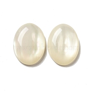 Resin Cabochons, Pearlized, Imitation Cat Eye, Oval, Seashell Color, 20x15x4.5mm(CRES-D003-05)