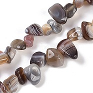 Natural Botswana Agate Nuggets Beads Strands, 7.5~11.5x9~13x4~6.5mm, Hole: 0.8~1mm, about 62~68pcs/strand, 14.96~15.55''(38~39.5cm)(G-B125-A11-01)