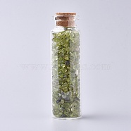 Glass Wishing Bottle, For Pendant Decoration, with Peridot Chip Beads Inside and Cork Stopper, 22x71mm(DJEW-L013-A11)