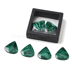 Natural Malachite Cabochons, Flat Back, Teardrop, with Floating Thin Film Display Case, 31x28.5x3.5mm(GG-CBA78D8-02)