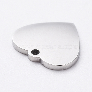 304 Stainless Steel Stamping Blank Tag Charms(STAS-G215-12-P02)-2