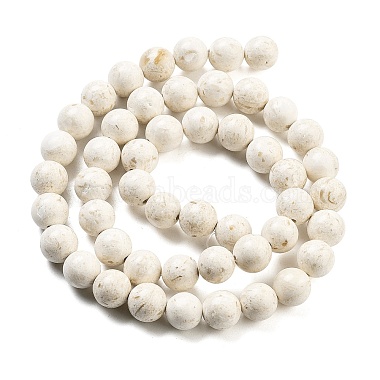 Natural Fossil Beads Strands(G-H026-02A)-3