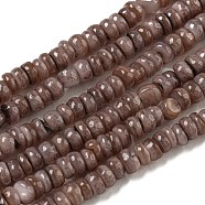 Dyed Natural Freshwater Shell Beads Strands, Rondelle, Coconut Brown, 1~4.5x4~4.5x2~4.5mm, Hole: 0.5mm, about 159pcs/strand, 15.12''(38.4cm)(BSHE-G039-07I)