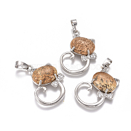 Natural Picture Jasper Kitten Pendants, with Platinum Tone Brass Findings and Crystal Rhinestone, Cat with Bowknot Shape, 32x25.5x7.5mm, Hole: 4.5x7mm(G-L512-R16)
