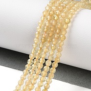 Natural Yellow Apatite Beads Strands, Faceted, Round, 2.4x2.6x2.4mm, Hole: 0.7mm, about 160pcs/strand, 15.47 inch(39.3cm)(G-N342-20A-01)