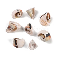 Natural Shiva Eye Shell Beads, Shell Shape, Top Drilled, Sandy Brown, 14~23x16~24x15~26mm, Hole: 1.3mm, about 86pcs/500g(SHEL-K009-17E)