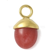 304 Stainless Steel Natural Carnelian(Dyed & Heated) Pendants, Acorn Charms, Real 18K Gold Plated, 15.5~16x9~9.5x5~6mm, Hole: 3mm(STAS-L277-07G-08)