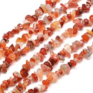 Natural Carnelian Chip Bead Strands, 5~8x5~8mm, Hole: 1mm, about 31.5 inch(X-G-M205-40)