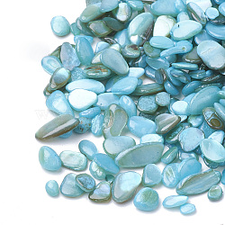 Shell Beads, No Hole Beads, Dyed, Chip, Sky Blue, 1~15x1~15x0.5~5mm, about 450g/bag(SHEL-R020-08)