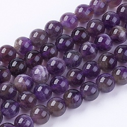 Natural Gemstone Beads Strands, Amethyst, AB Grade, Round, Purple, 6mm, Hole: 1mm, about 66pcs/strand, 15 inch(G-S029)
