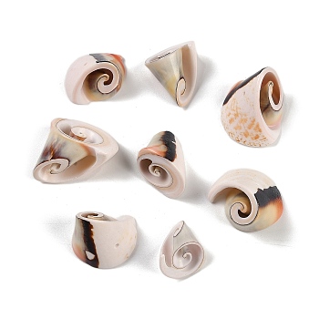 Natural Shiva Eye Shell Beads, Shell Shape, Top Drilled, Sandy Brown, 14~23x16~24x15~26mm, Hole: 1.3mm, about 86pcs/500g