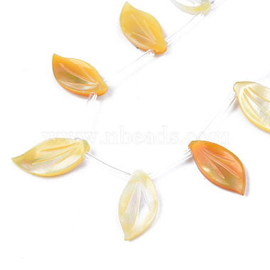 Natural Yellow Shell Beads Strands(SSHEL-S278-118)-3