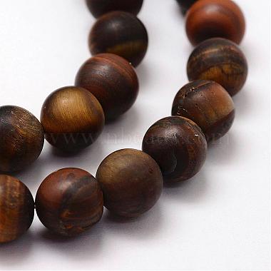 Frosted Natural Tiger Eye Beads Strands(G-F364-18-10mm)-3