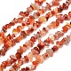 Natural South Red Agate Chips Bead Strands(X-G-M205-40)-1