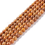 Natural Maifanite/Maifan Stone Beads Strands, Dyed, Round, Peru, 6~6.5mm, Hole: 1mm, about 61~66pcs/strand, 15.16~15.75(38.5~40cm)(G-P451-01B-C)