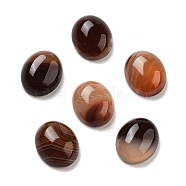 Dyed & Heated Natural Banded Agate Cabochons, Oval, Coconut Brown, 12x10x4.5mm(G-G145-01A-24)