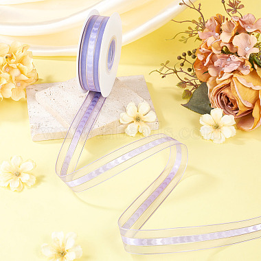 Polyester Lace Ribbon(OCOR-TADJ0001-07H)-5