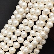 Round Shell Pearl Matte Surface Bead Strands, 6mm, Hole: 1mm, about 62pcs/strand, 15.7 inch(X-BSHE-M011-08-6mm)