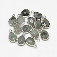 Natural Labradorite Pendants, with Platinum Tone Brass Findings, Faceted, teardrop, 22~24x14~15x5~6mm, Hole: 2mm(G-Q494-82P-01)