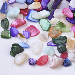 Natural Freshwater Shell Beads, No Hole/Undrilled, Chips, Dyed, Shell Shards, Mixed Color, 3~12x1~6x0.5~5mm(SHEL-N003-03)