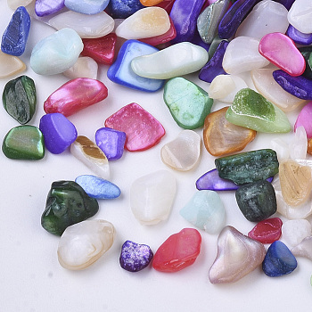 Natural Freshwater Shell Beads, No Hole/Undrilled, Chips, Dyed, Shell Shards, Mixed Color, 3~12x1~6x0.5~5mm